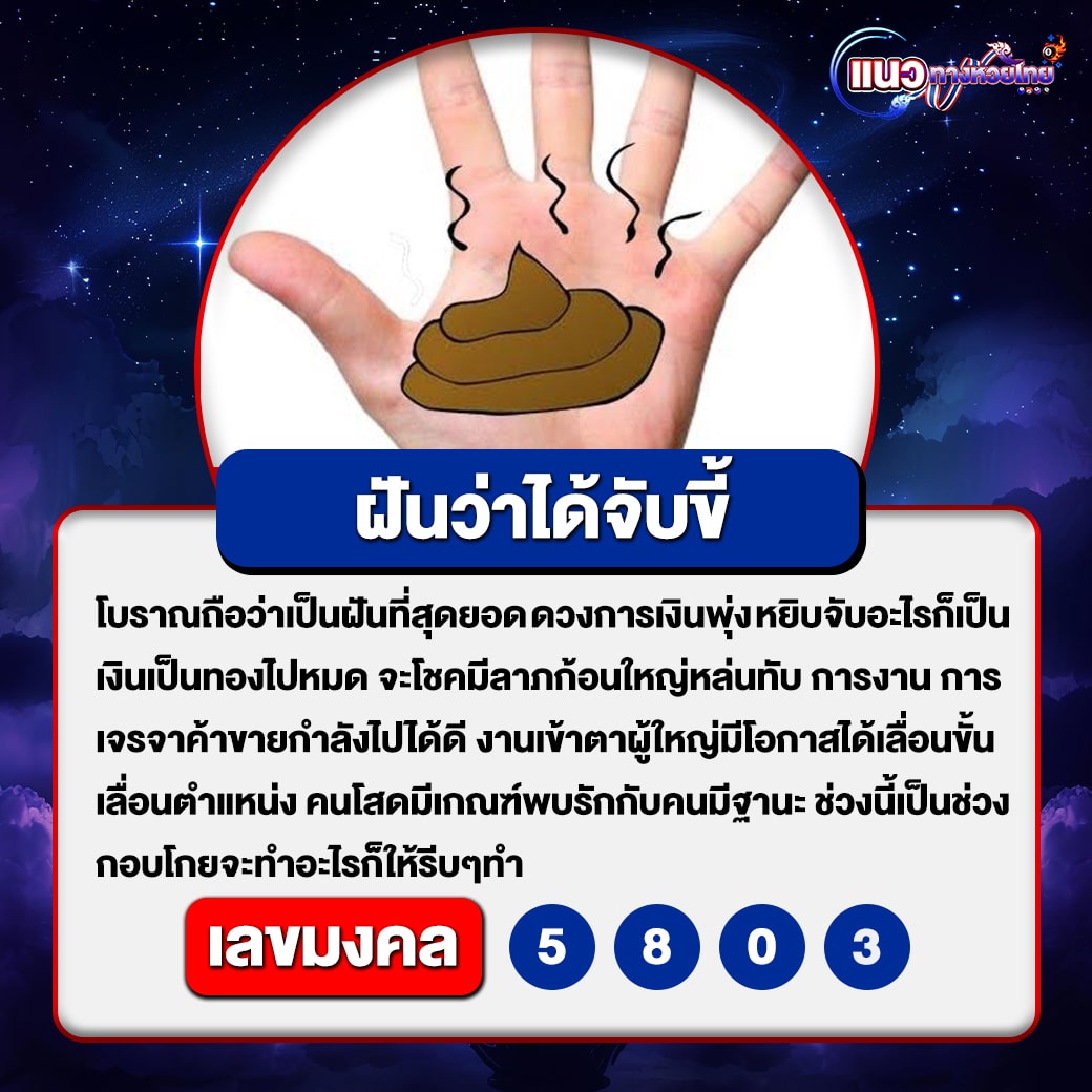 ฝันว่าได้จับขี้