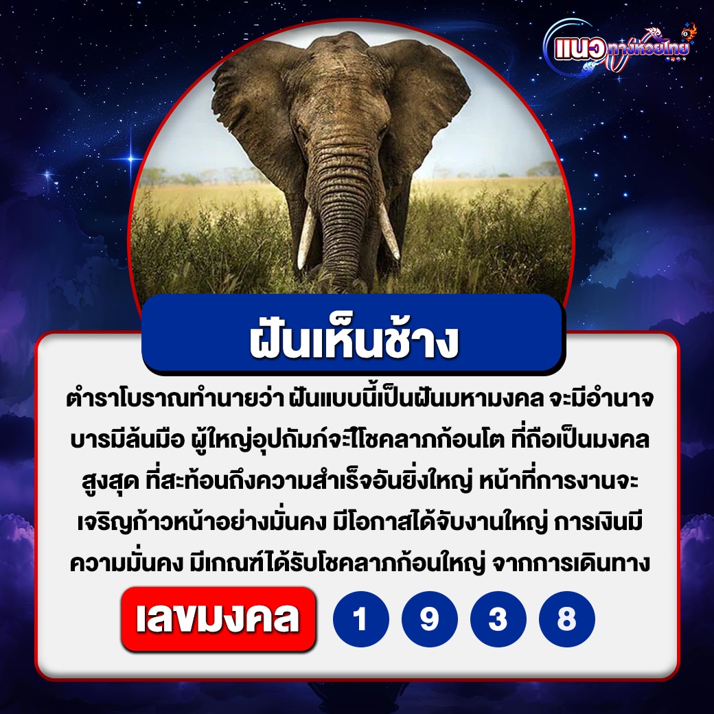 ฝันเห็นช้าง