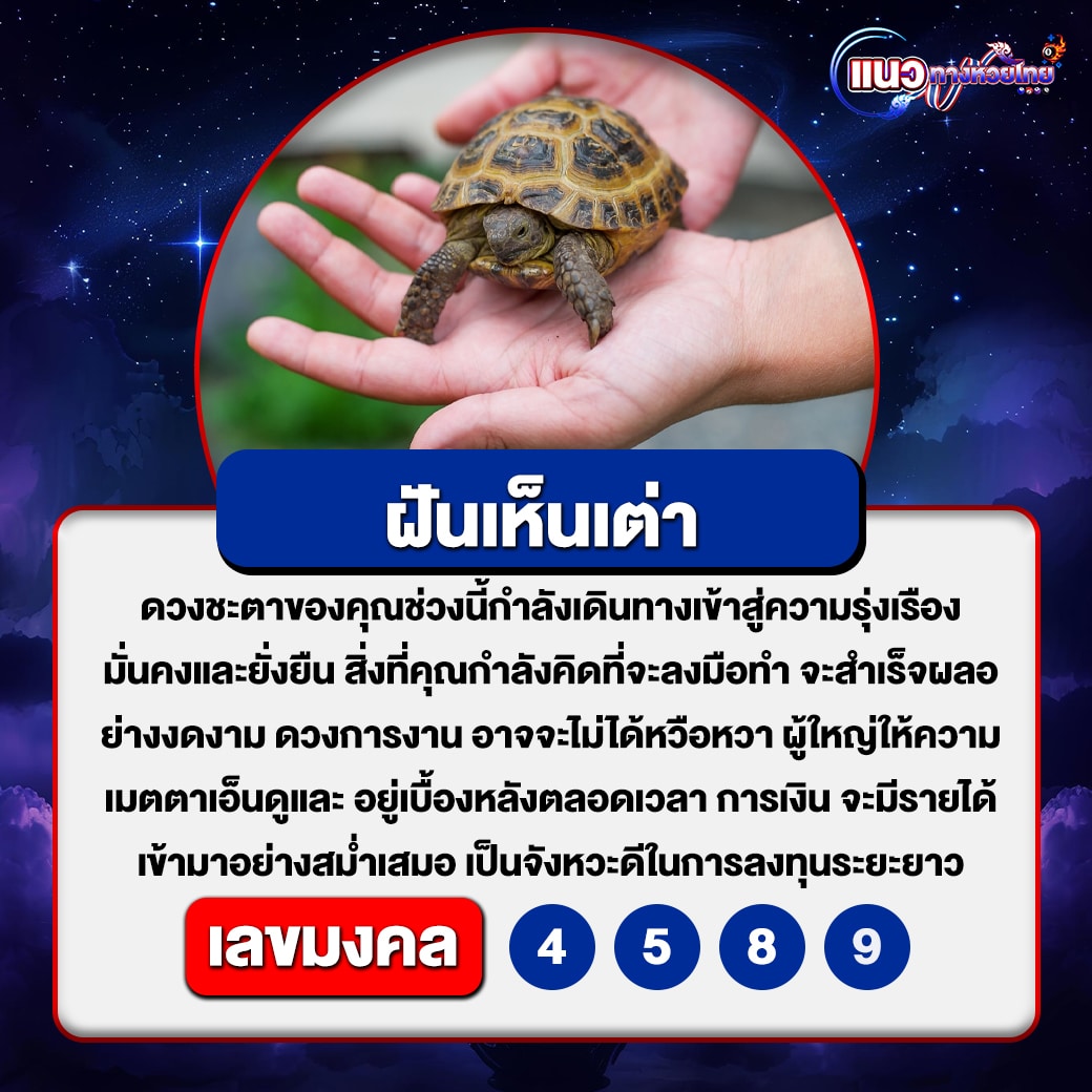 ฝันเห็นเต่า