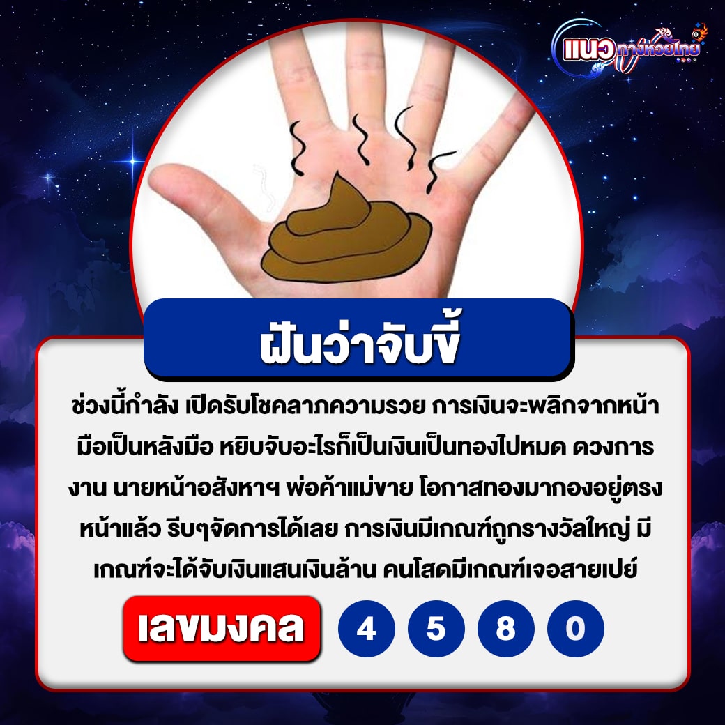 ฝันว่าจับขี้