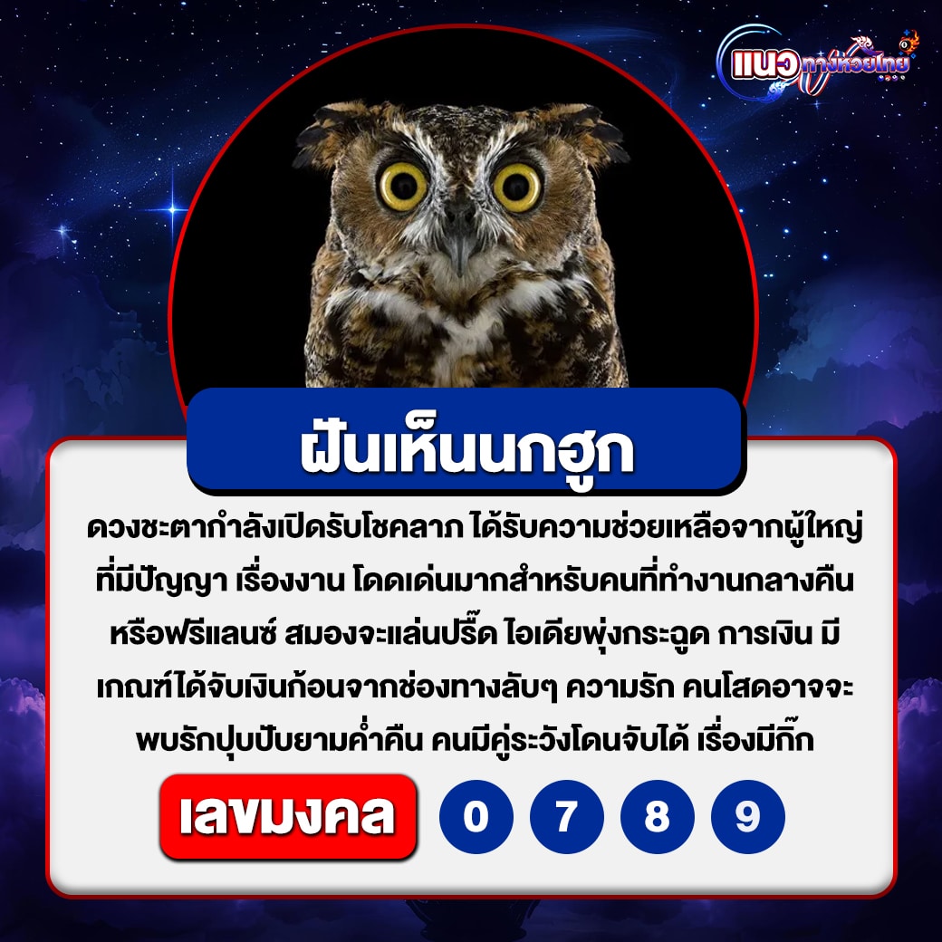 ฝันเห็นนกฮูก