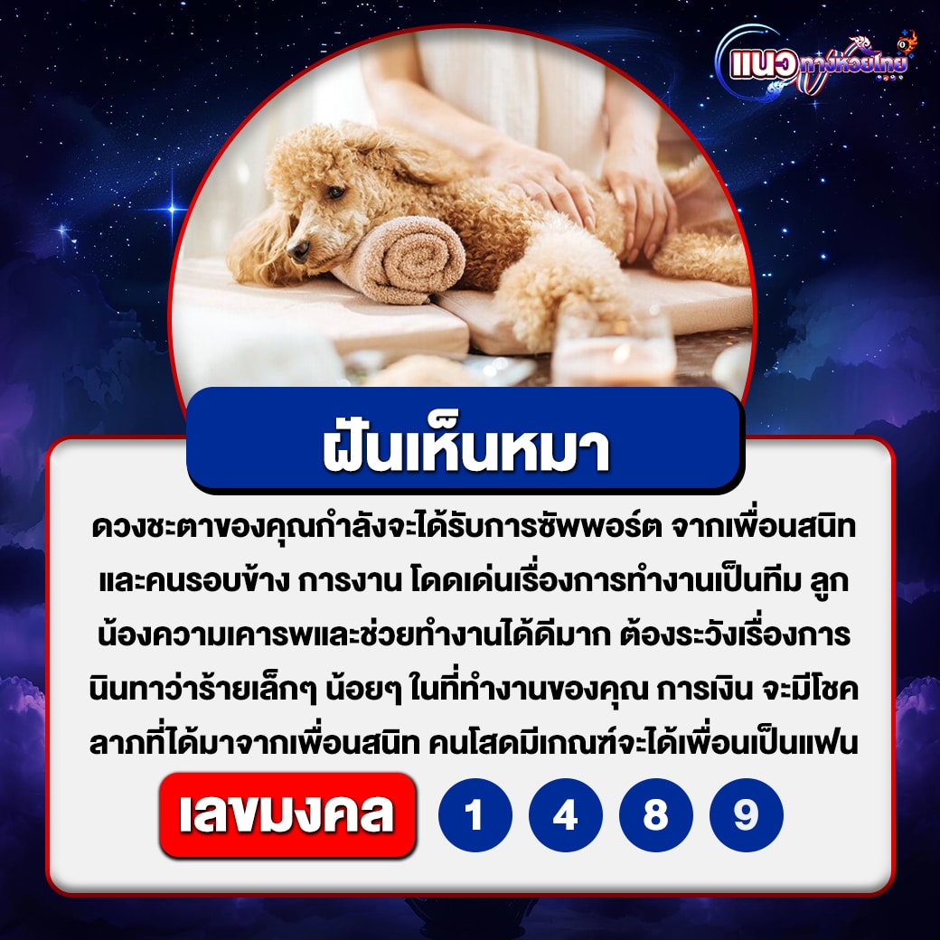 ฝันเห็นหมา